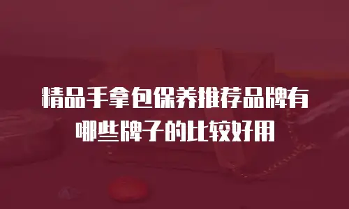 精品手拿包保养推荐品牌有哪些牌子的比较好用