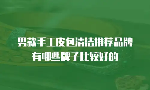 男款手工皮包清洁推荐品牌有哪些牌子比较好的