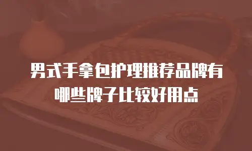 男式手拿包护理推荐品牌有哪些牌子比较好用点