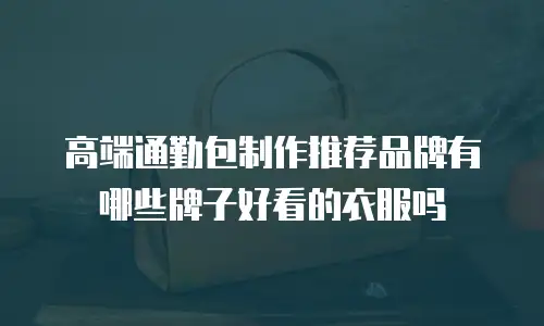 高端通勤包制作推荐品牌有哪些牌子好看的衣服吗
