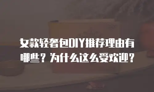 女款轻奢包DIY推荐理由有哪些？为什么这么受欢迎？