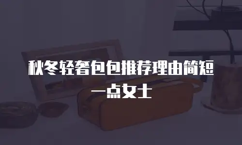 秋冬轻奢包包推荐理由简短一点女士