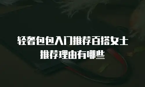 轻奢包包入门推荐百搭女士推荐理由有哪些