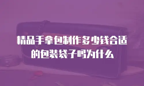 精品手拿包制作多少钱合适的包装袋子吗为什么