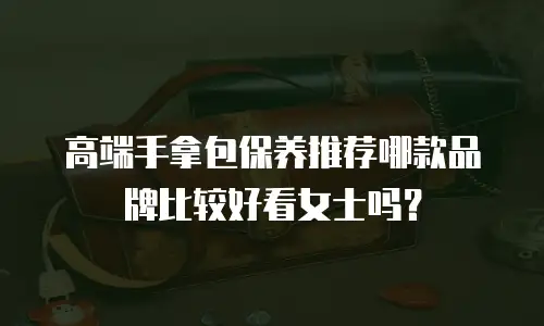 高端手拿包保养推荐哪款品牌比较好看女士吗？
