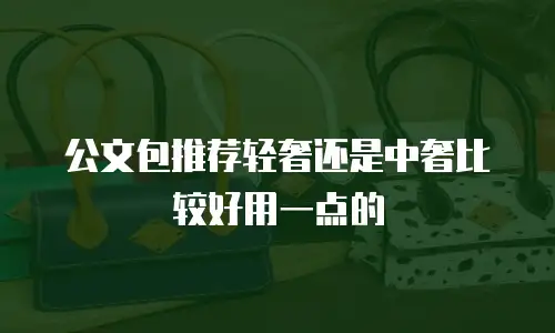 公文包推荐轻奢还是中奢比较好用一点的