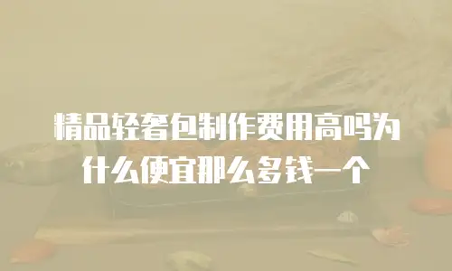 精品轻奢包制作费用高吗为什么便宜那么多钱一个
