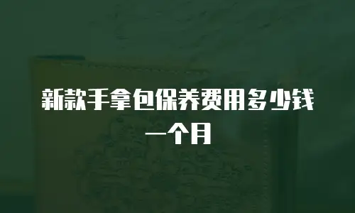 新款手拿包保养费用多少钱一个月