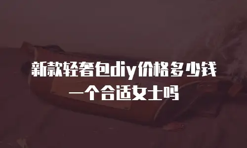 新款轻奢包diy价格多少钱一个合适女士吗