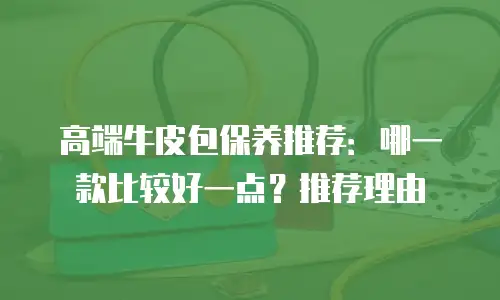 高端牛皮包保养推荐：哪一款比较好一点？推荐理由