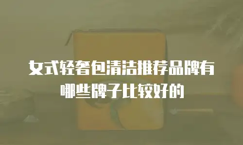 女式轻奢包清洁推荐品牌有哪些牌子比较好的