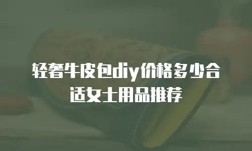 轻奢牛皮包diy价格多少合适女士用品推荐