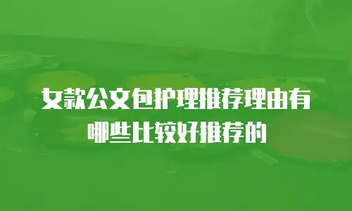 女款公文包护理推荐理由有哪些比较好推荐的