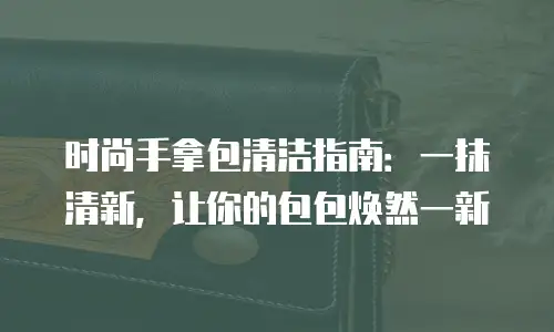 时尚手拿包清洁指南：一抹清新，让你的包包焕然一新