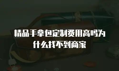 精品手拿包定制费用高吗为什么找不到商家