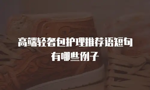 高端轻奢包护理推荐语短句有哪些例子