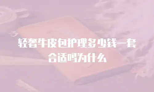 轻奢牛皮包护理多少钱一套合适吗为什么