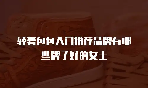 轻奢包包入门推荐品牌有哪些牌子好的女士