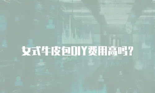 女式牛皮包DIY费用高吗？
