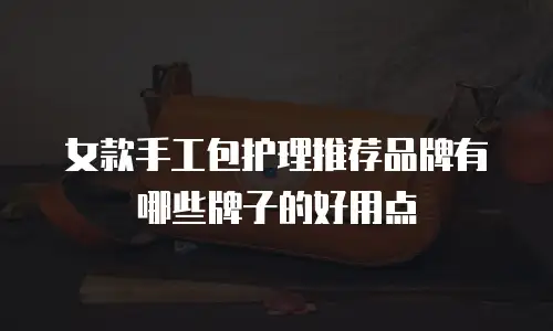 女款手工包护理推荐品牌有哪些牌子的好用点