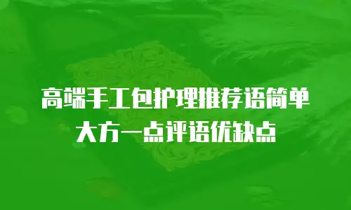 高端手工包护理推荐语简单大方一点评语优缺点
