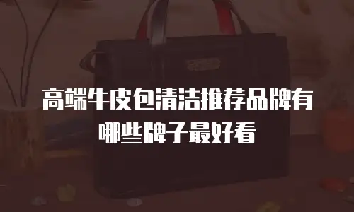 高端牛皮包清洁推荐品牌有哪些牌子最好看