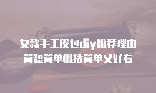 女款手工皮包diy推荐理由简短简单概括简单又好看
