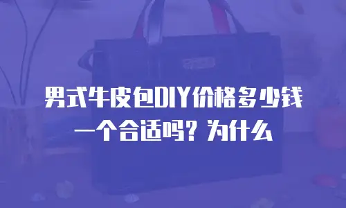男式牛皮包DIY价格多少钱一个合适吗？为什么