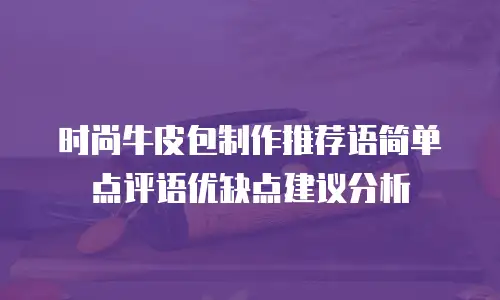 时尚牛皮包制作推荐语简单点评语优缺点建议分析