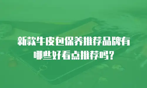 新款牛皮包保养推荐品牌有哪些好看点推荐吗？