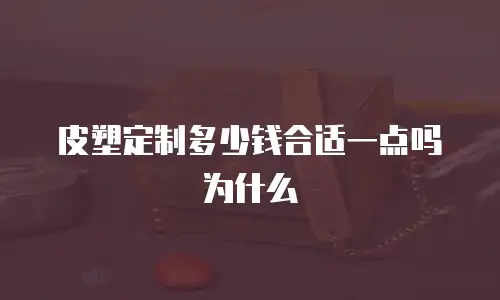 皮塑定制多少钱合适一点吗为什么