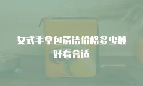 女式手拿包清洁价格多少最好看合适