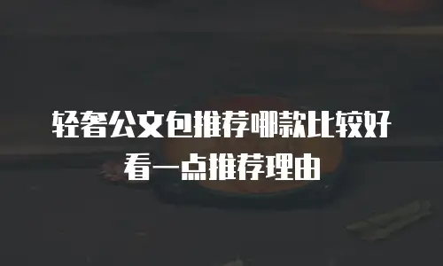 轻奢公文包推荐哪款比较好看一点推荐理由