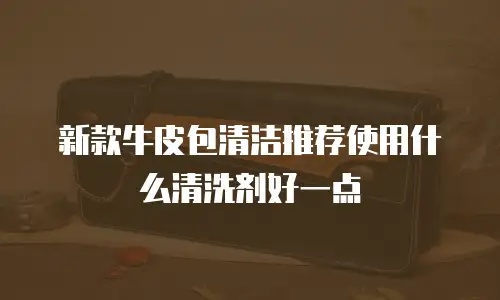 新款牛皮包清洁推荐使用什么清洗剂好一点