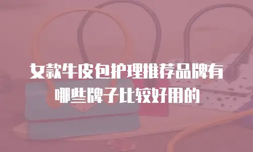 女款牛皮包护理推荐品牌有哪些牌子比较好用的