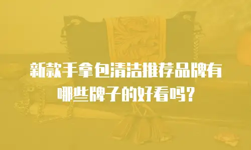 新款手拿包清洁推荐品牌有哪些牌子的好看吗？