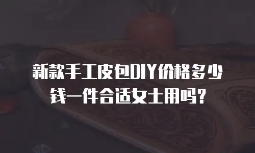 新款手工皮包DIY价格多少钱一件合适女士用吗？