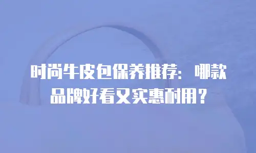 时尚牛皮包保养推荐：哪款品牌好看又实惠耐用？