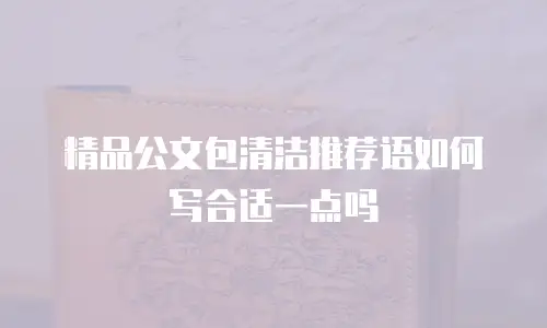 精品公文包清洁推荐语如何写合适一点吗