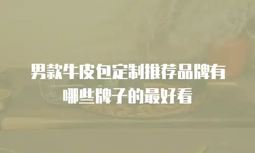 男款牛皮包定制推荐品牌有哪些牌子的最好看