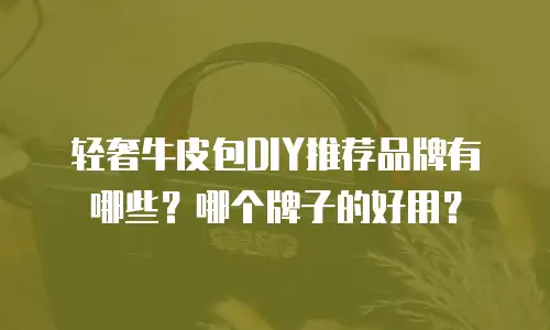 轻奢牛皮包DIY推荐品牌有哪些？哪个牌子的好用？