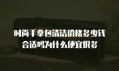 时尚手拿包清洁价格多少钱合适吗为什么便宜很多