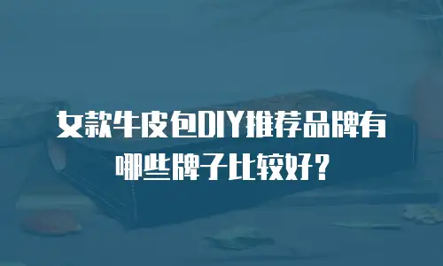 女款牛皮包DIY推荐品牌有哪些牌子比较好？