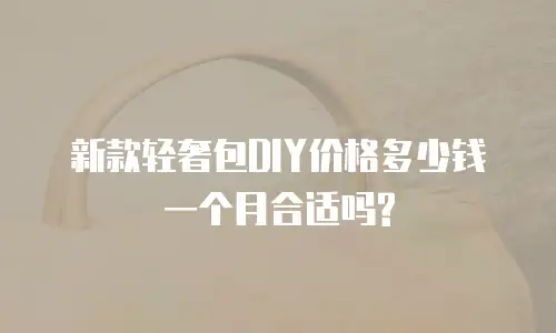 新款轻奢包DIY价格多少钱一个月合适吗?