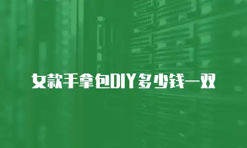 女款手拿包DIY多少钱一双