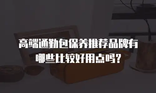 高端通勤包保养推荐品牌有哪些比较好用点吗？
