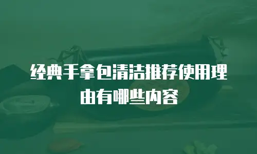 经典手拿包清洁推荐使用理由有哪些内容
