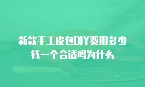 新款手工皮包DIY费用多少钱一个合适吗为什么