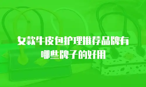 女款牛皮包护理推荐品牌有哪些牌子的好用