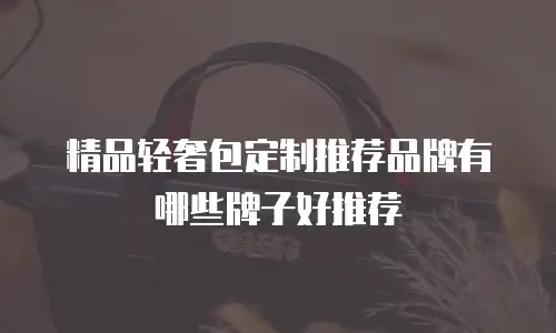 精品轻奢包定制推荐品牌有哪些牌子好推荐